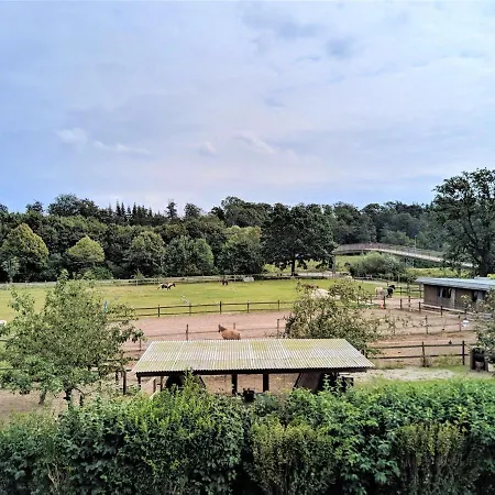 38 - Seeschwalbe *